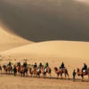 Silk-Road-Caravan